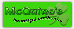 McGuire's Outdoors