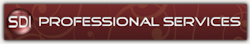 SDI Professional Services