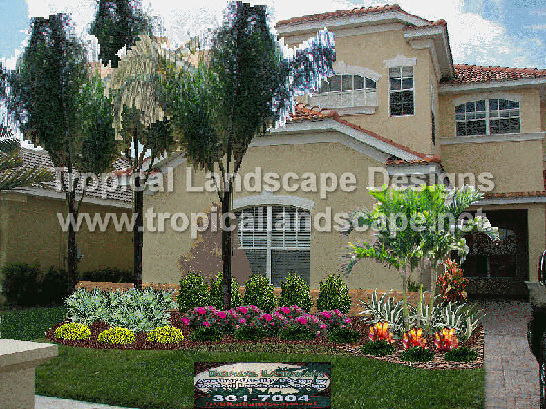 Tropical Landscaping Designs of Tampa Bay